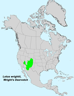 North America species range map for Wright's Deervetch, Lotus wrightii: